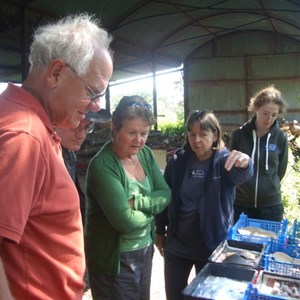 Boxford Parish Council Big Dig