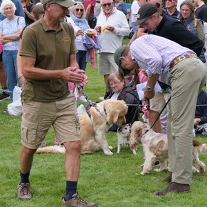 Goodworth Clatford Parish Council Village Fete/Garden Show