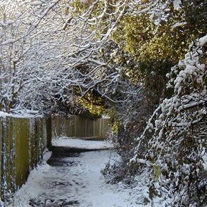Footpath 9 in the snow