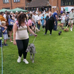 Goodworth Clatford Parish Council Village Fete/Garden Show