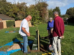 Kings Orchard 1st tree planted
