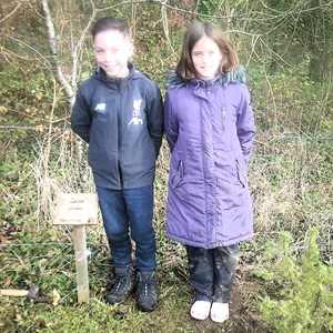 Sustainable Bourne Valley Hirst Meadow
