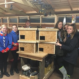 Hedgehog homes made by Swanwick Guides