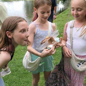 Goodworth Clatford Parish Council  Fete 2026 photos