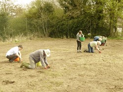 2018 Making the Wildlife Area from the old tennis courts