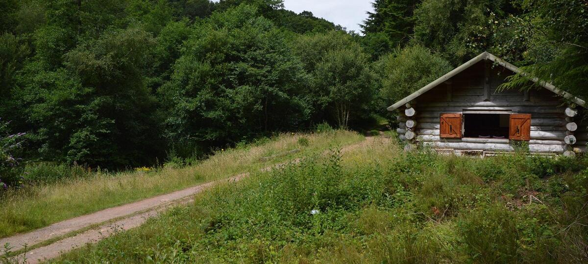 Offwell Parish Council Offwell Woodlands & Wildlife Trust