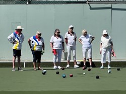 Henfield Bowling Club The Bowls