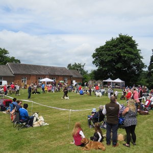 Whixall Social Centre Whixall Companion Dog Show 2022 Report