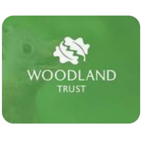 Margaret Harker Hall & Blofield Memorial Ground News