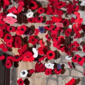 The Plough  Remembrance Day 11 November 2018