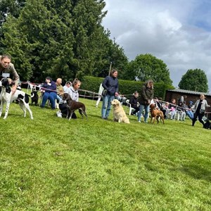 Whixall Social Centre Whixall Companion Dog Show 2024