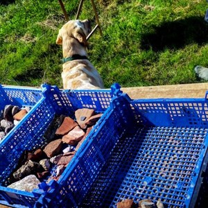 Boxford Parish Council Big Dig