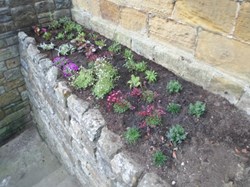 Newly planted Woodend Tower border