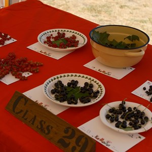 HBT Horticultural Society Photographs 2026