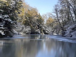 Badger Dingle in Winter