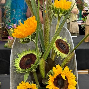 Mannings Heath & District Horticultural Society Photo Gallery