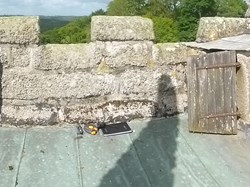 Church of the Holy Cross, Tetcott Past News