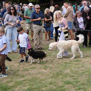 Goodworth Clatford Parish Council  Fete 2026 photos