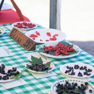 HBT Horticultural Society Photographs 2025