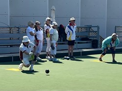 Henfield Bowling Club The Bowls