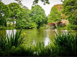 Tendring Parish Council Home