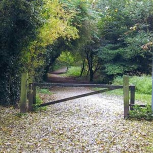 The Cockshutt, Wrockwardine Wood and Trench Parish Council