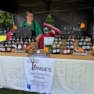 Louth & District Lions Classic Car Show