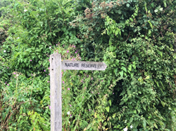 Southorpe Parish Council Home