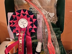 CannockWood&Gentleshaw Village Hall Midsummer Fair Fun dog show