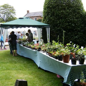 Maidford Parish Council Summer Fete