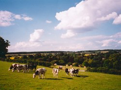 Bramdean & Hinton Ampner Parish Council Home