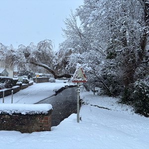 BISHOP MONKTON TODAY Snow January 2025