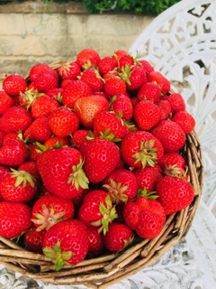 Fresh, Local Strawberries for Tea!