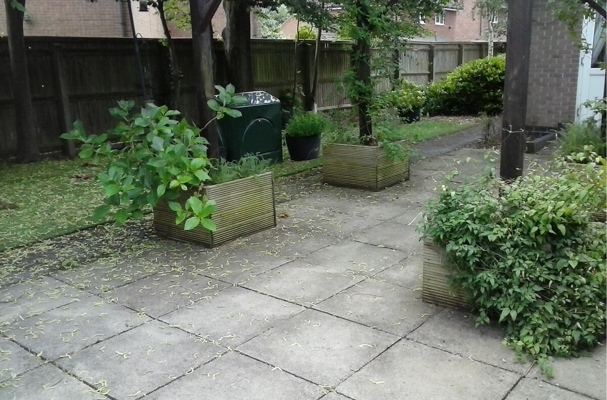 Rowthorne Care Home Sensory Garden Project Swanwick Men's Shed