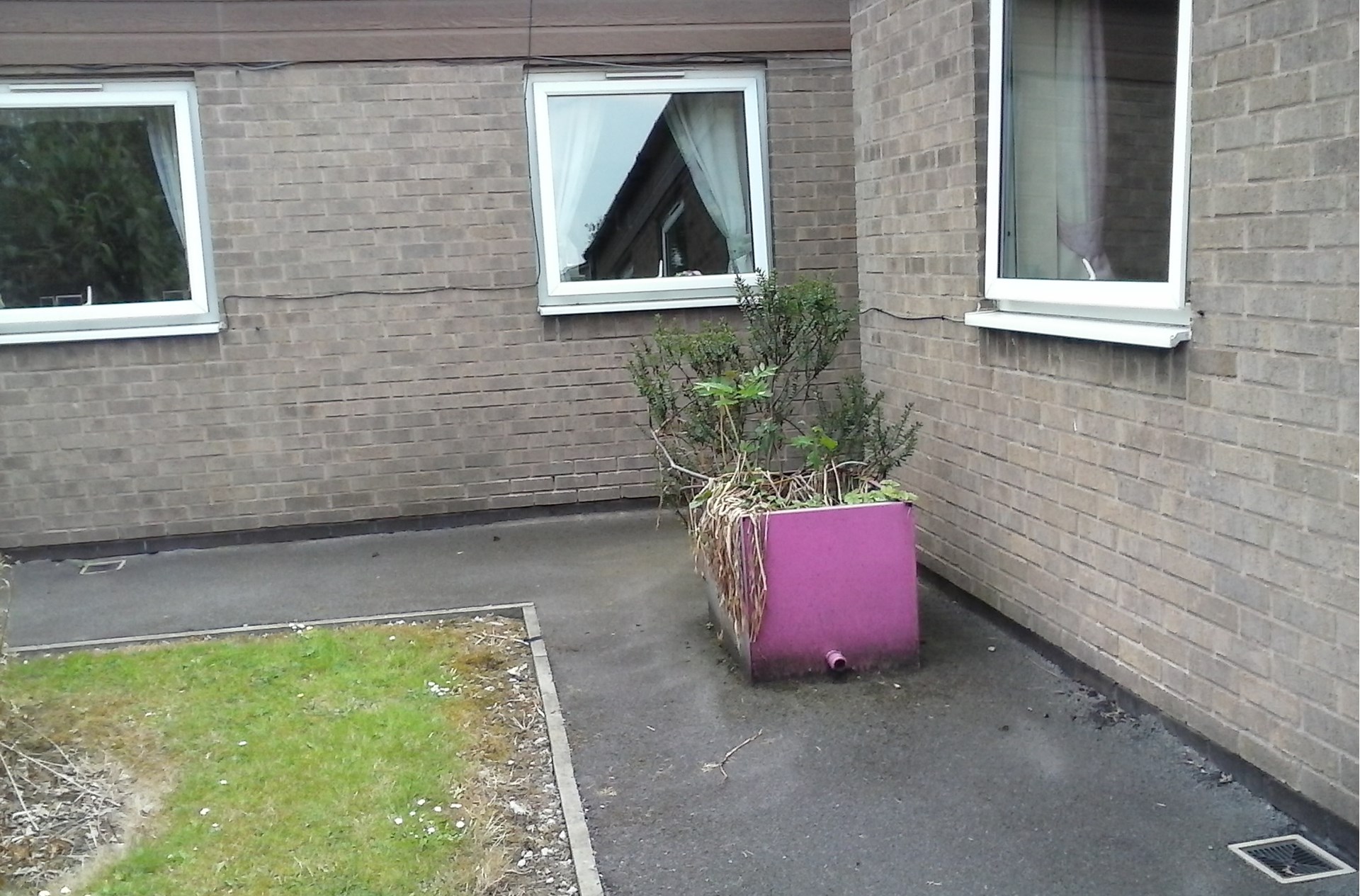 Rowthorne Care Home Sensory Garden Project Swanwick Men's Shed