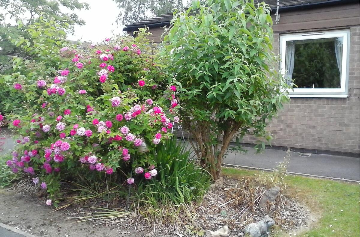 Rowthorne Care Home Sensory Garden Project Swanwick Men's Shed